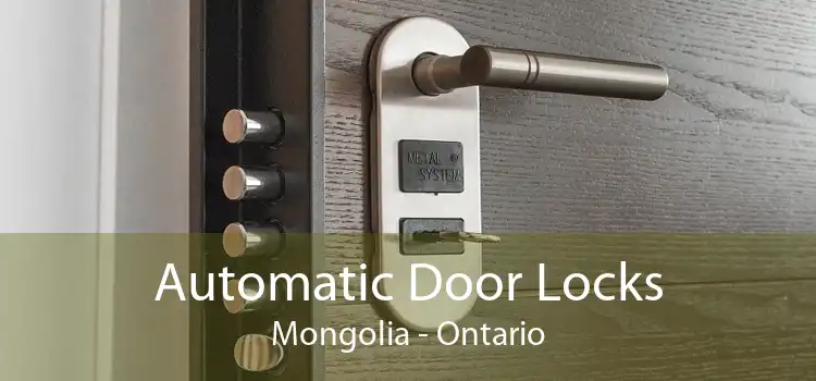 Automatic Door Locks Mongolia - Ontario