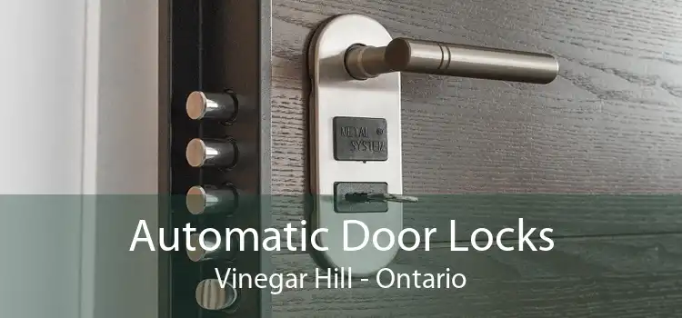 Automatic Door Locks Vinegar Hill - Ontario