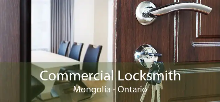 Commercial Locksmith Mongolia - Ontario