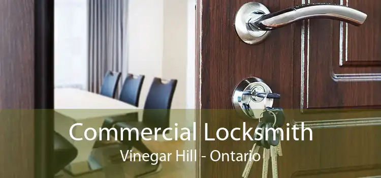 Commercial Locksmith Vinegar Hill - Ontario