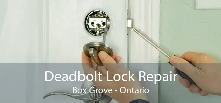 Deadbolt Lock Repair Box Grove - Ontario