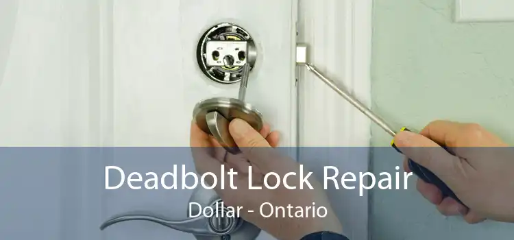 Deadbolt Lock Repair Dollar - Ontario