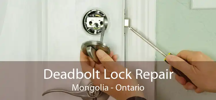 Deadbolt Lock Repair Mongolia - Ontario