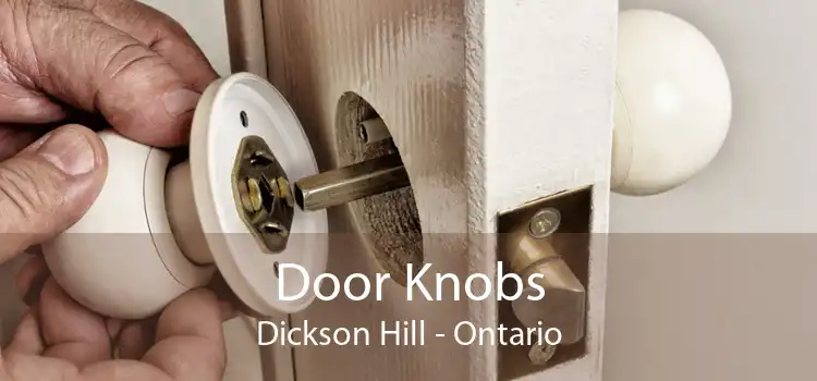 Door Knobs Dickson Hill - Ontario