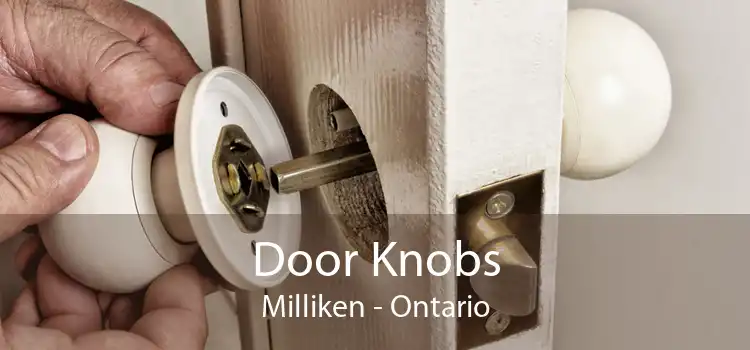 Door Knobs Milliken - Ontario