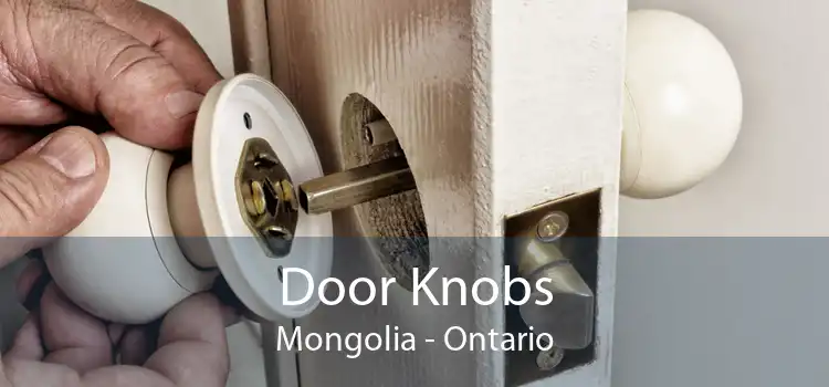 Door Knobs Mongolia - Ontario
