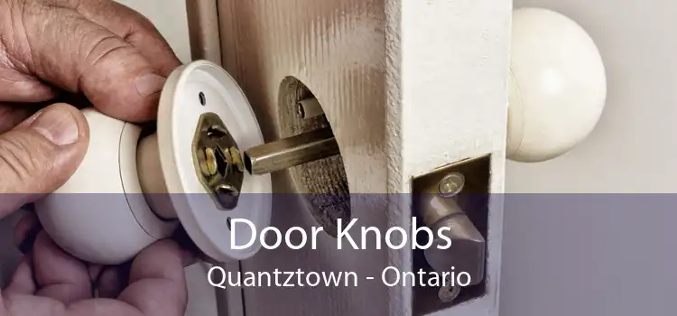 Door Knobs Quantztown - Ontario