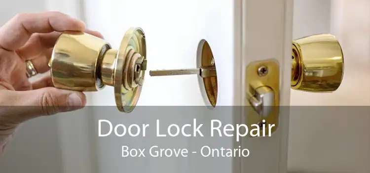 Door Lock Repair Box Grove - Ontario