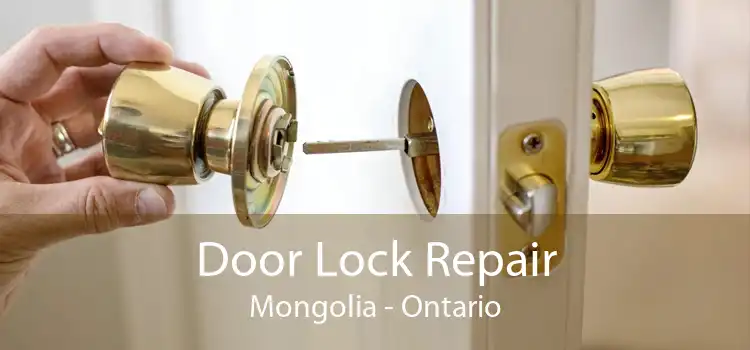 Door Lock Repair Mongolia - Ontario