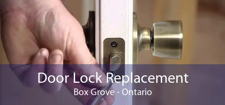 Door Lock Replacement Box Grove - Ontario