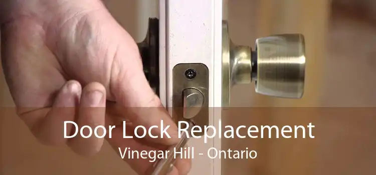 Door Lock Replacement Vinegar Hill - Ontario