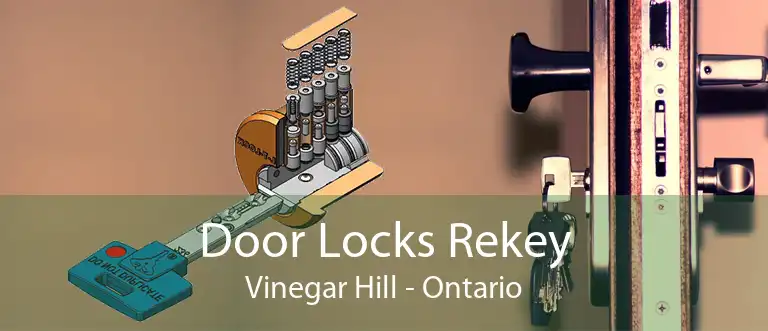 Door Locks Rekey Vinegar Hill - Ontario