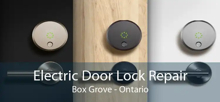 Electric Door Lock Repair Box Grove - Ontario