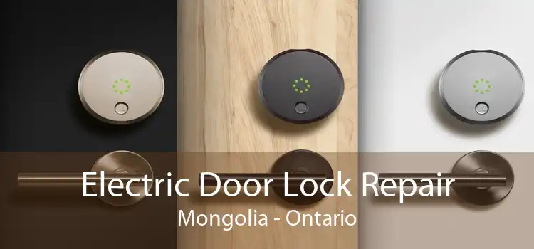 Electric Door Lock Repair Mongolia - Ontario