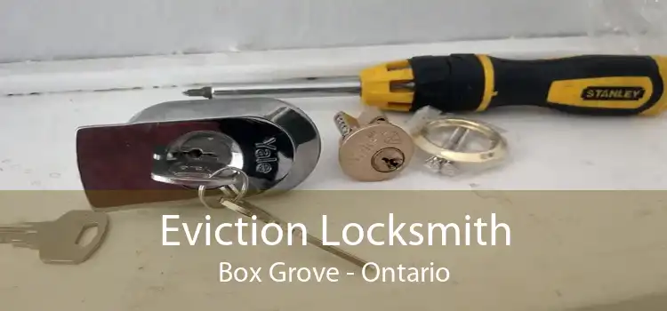 Eviction Locksmith Box Grove - Ontario