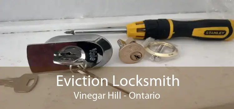Eviction Locksmith Vinegar Hill - Ontario