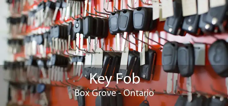 Key Fob Box Grove - Ontario