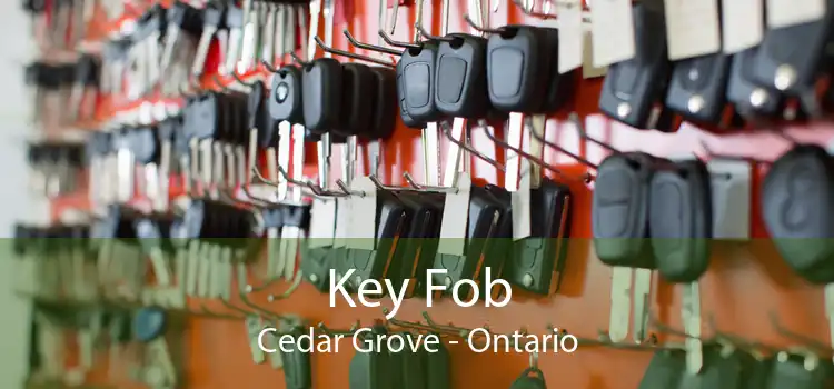 Key Fob Cedar Grove - Ontario