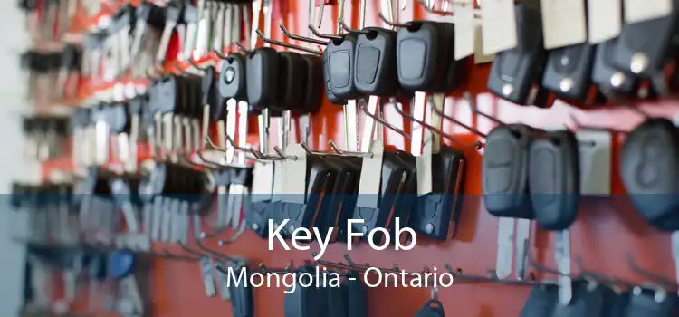 Key Fob Mongolia - Ontario