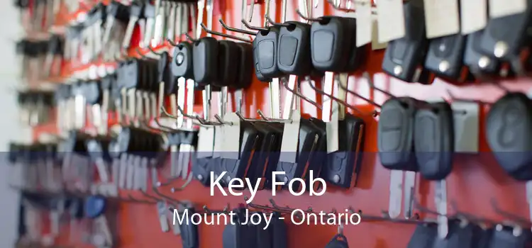 Key Fob Mount Joy - Ontario