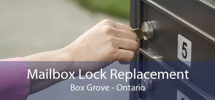 Mailbox Lock Replacement Box Grove - Ontario