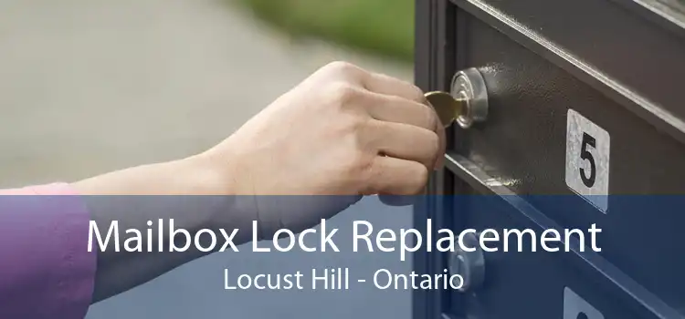 Mailbox Lock Replacement Locust Hill - Ontario