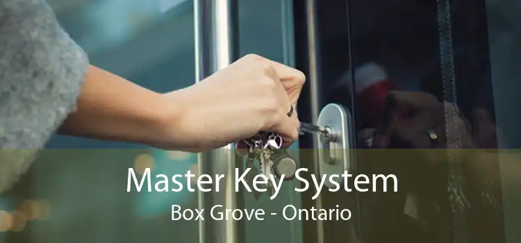 Master Key System Box Grove - Ontario