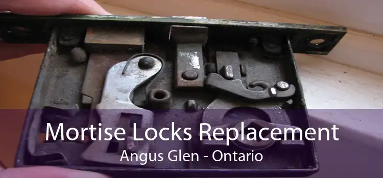 Mortise Locks Replacement Angus Glen - Ontario