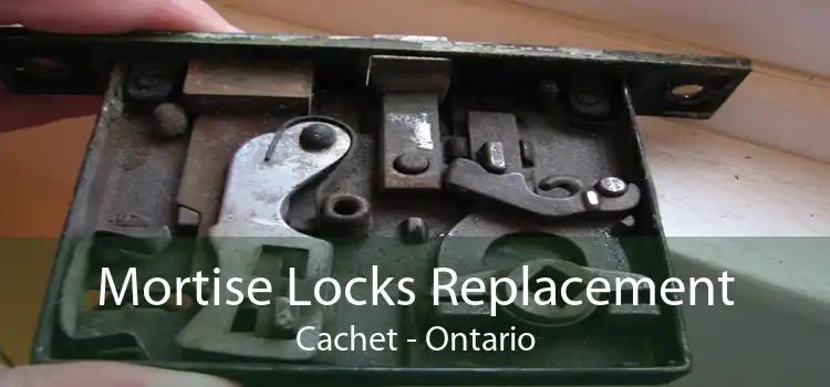 Mortise Locks Replacement Cachet - Ontario