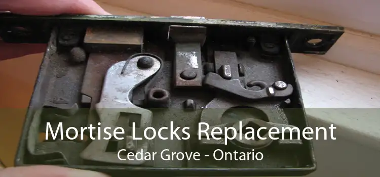 Mortise Locks Replacement Cedar Grove - Ontario