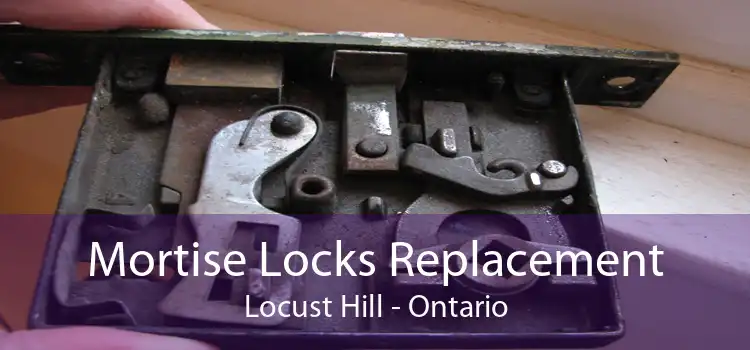 Mortise Locks Replacement Locust Hill - Ontario