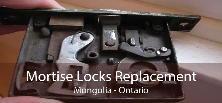 Mortise Locks Replacement Mongolia - Ontario