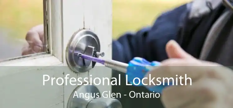 Professional Locksmith Angus Glen - Ontario