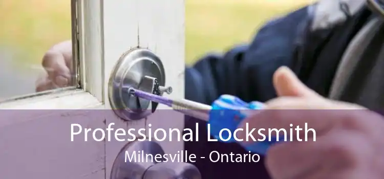 Professional Locksmith Milnesville - Ontario