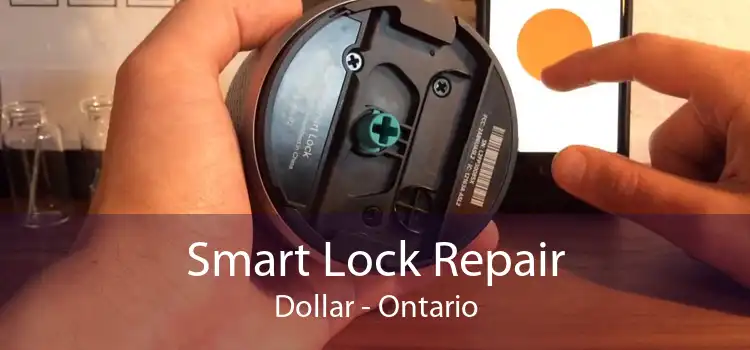 Smart Lock Repair Dollar - Ontario