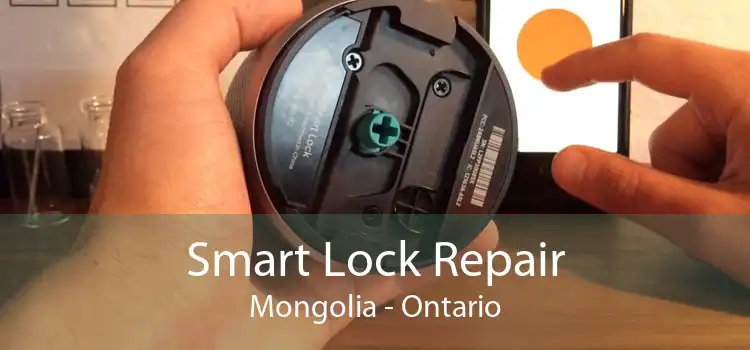Smart Lock Repair Mongolia - Ontario