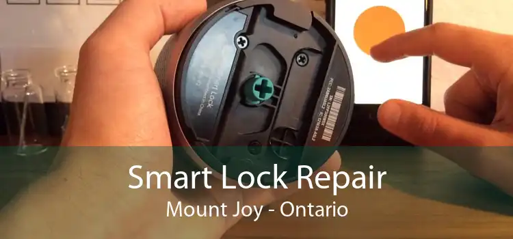 Smart Lock Repair Mount Joy - Ontario